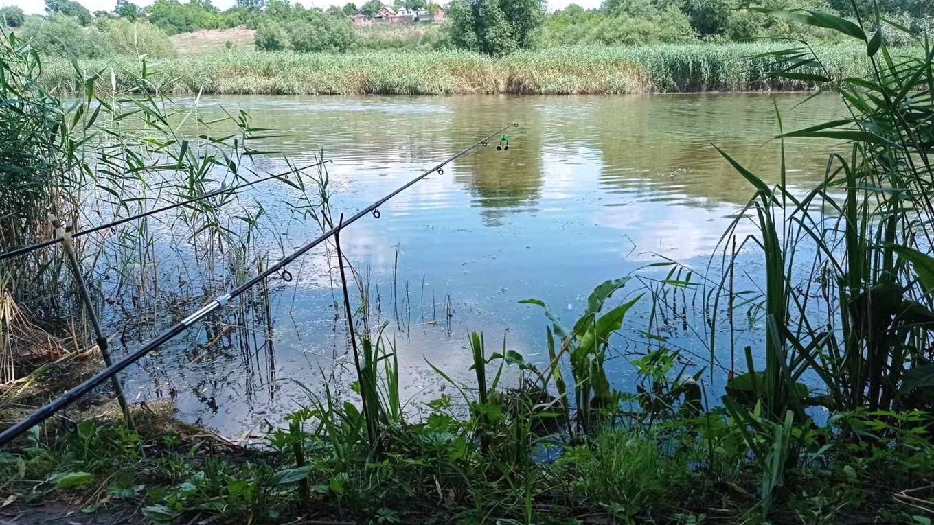 Літо, річка, рибалка: як гарно можна відпочити на Первомайщині