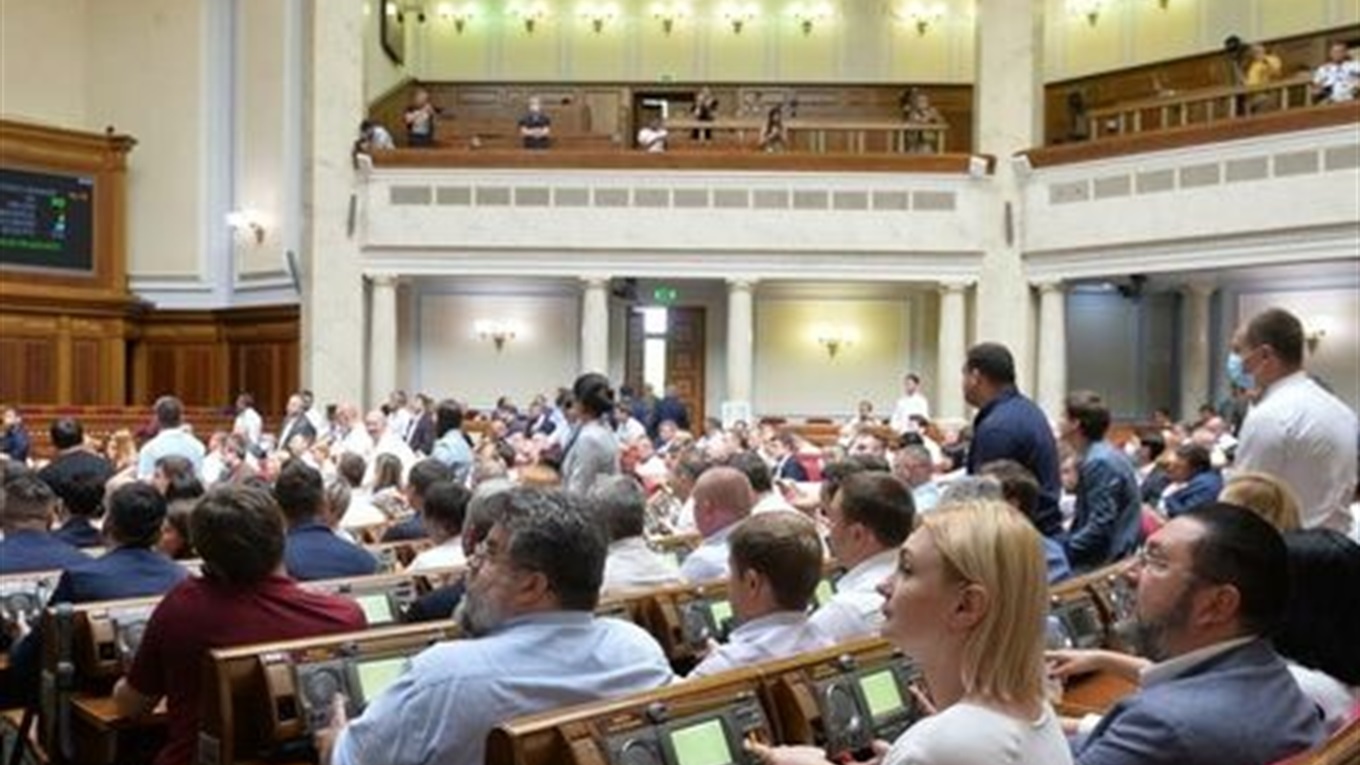 Больше никаких фото на море с обезьянкой и не только: приняли закон о жестоком обращении с животными