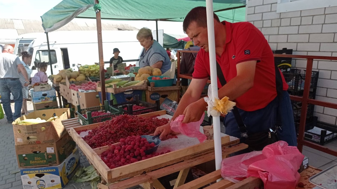 Ціни на сезонні овочі в Первомайську. Що коштує найдорожче, а на чому можна зекономити