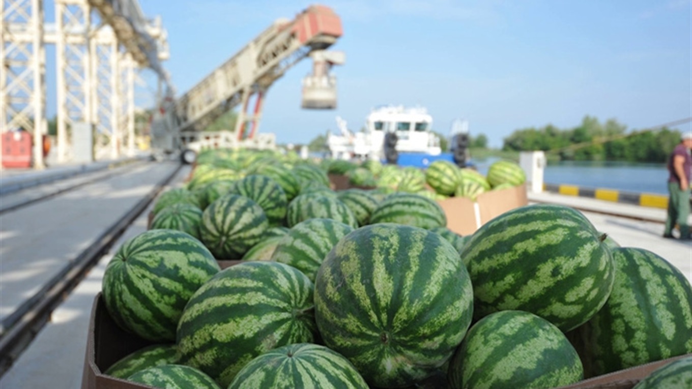 Мінекономіки хоче, щоб херсонський кавун і ще 7 продуктів стали локальним брендом у ЄС