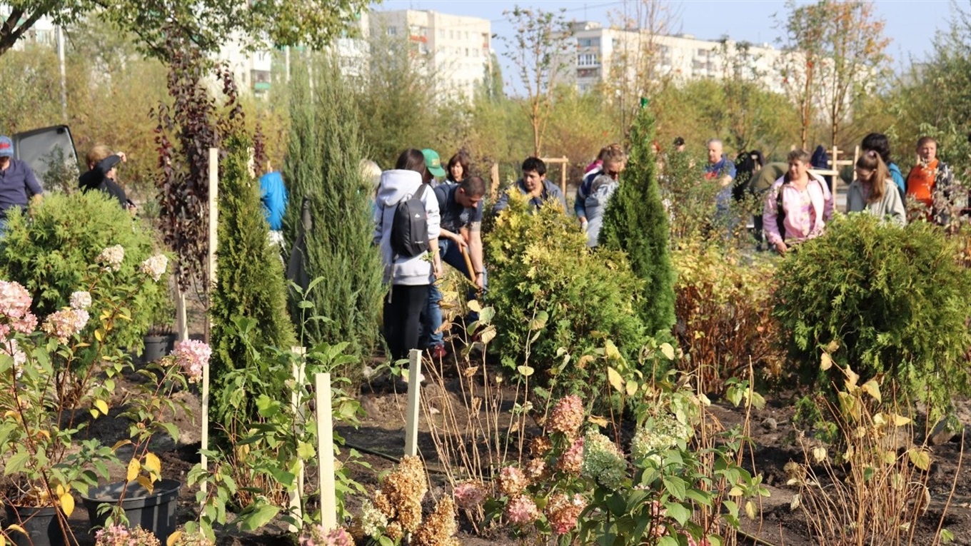 В Северодонецке запускают «Деревья в смартфоне». Каждое внесут в электронный реестр