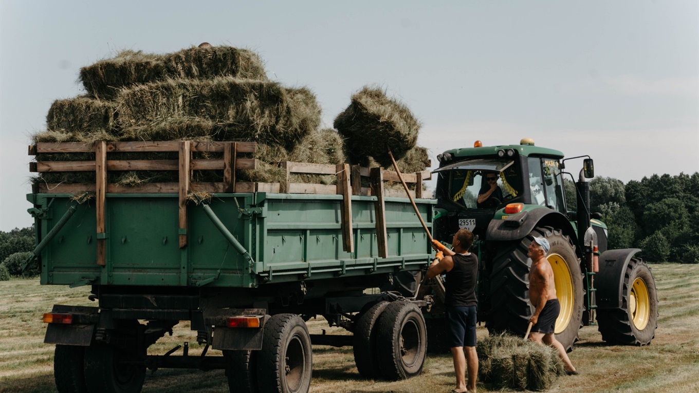 Готуй сани влітку: заготівля сіна і соломи на зиму