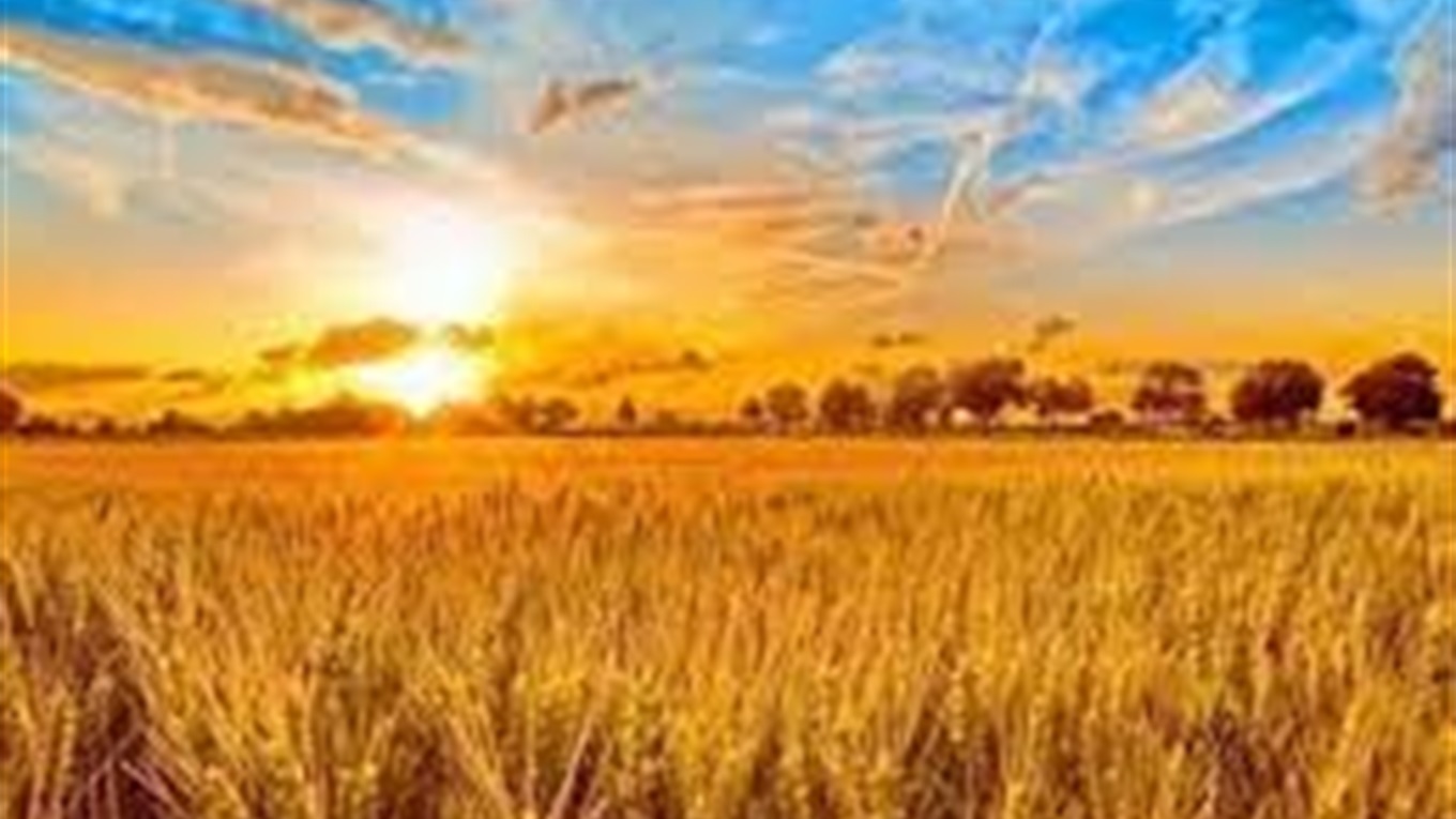 Синоптики радують прогнозом на День незалежності України: про погоду в Южноукраїнську цього тижня