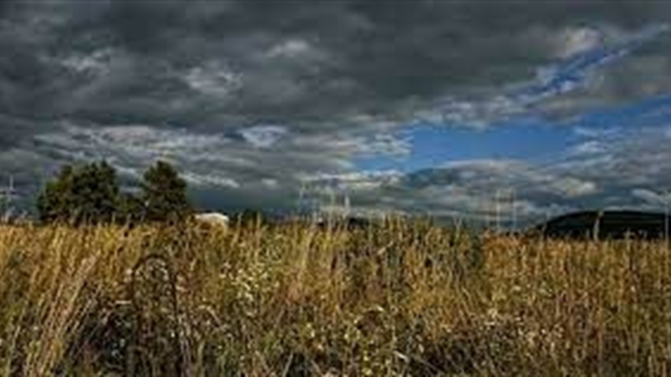 Похолодання до +18 °C: прогноз погоди на тиждень в Южноукраїнську
