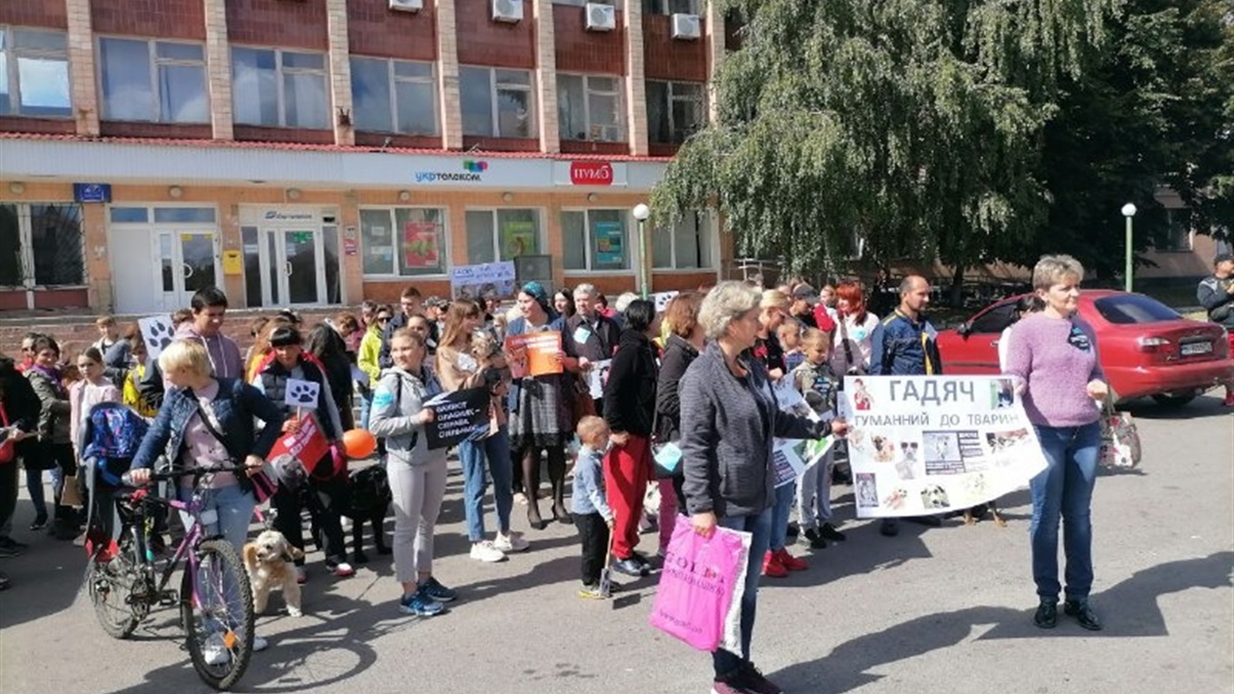 Із морськими свинками і котиками: у Гадячі відбувся марш за права тварин