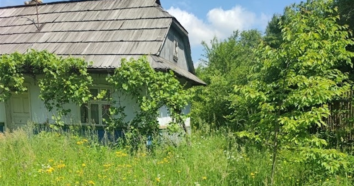 Значна частина периферійних сіл зникнуть із карти України у найближчі 10–15 років – експерт