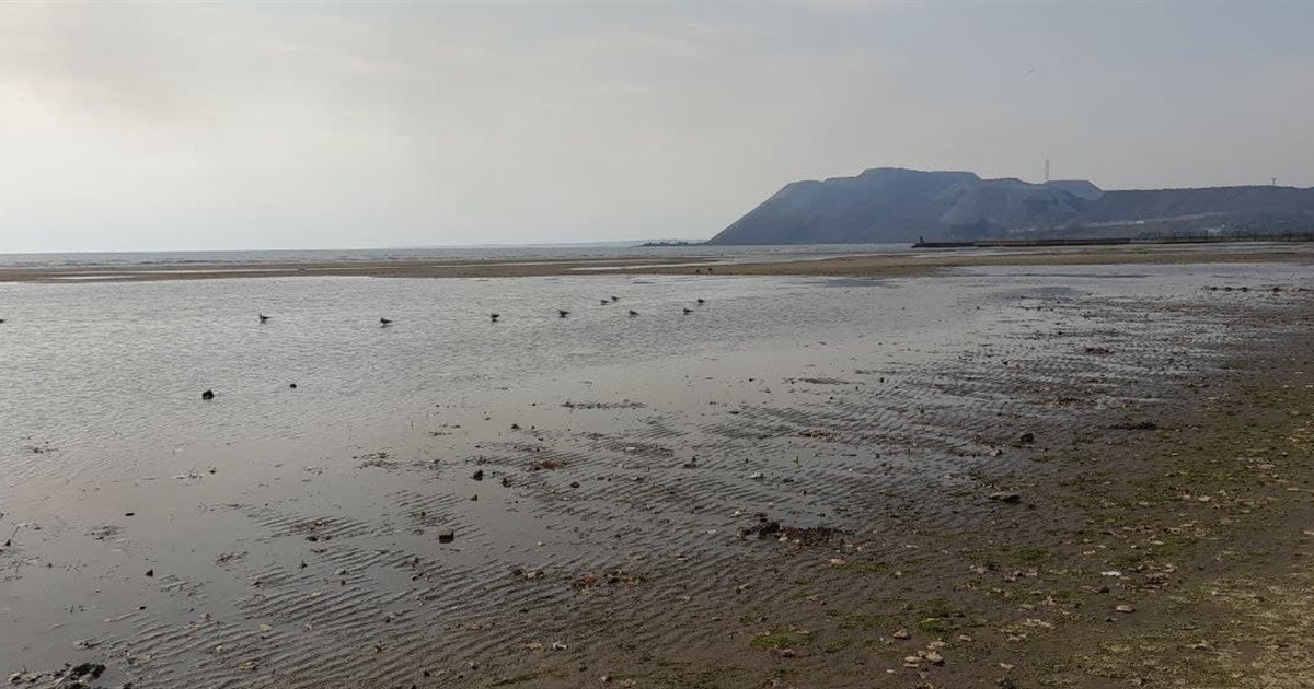 Азовське море відійшло від берега. У чому причина?