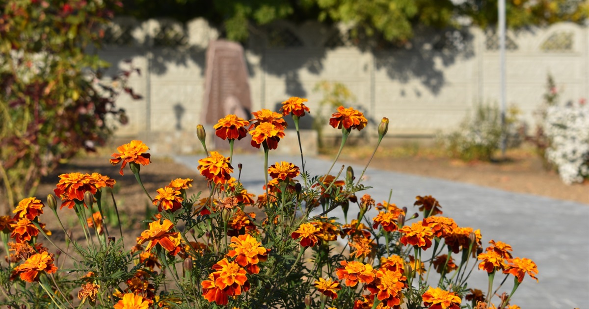 Фоторепортаж: 20 кадрів нижньосірогозької осені
