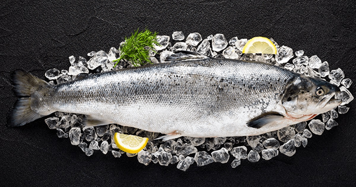 Лосось лучшего качества в Egersund Seafood