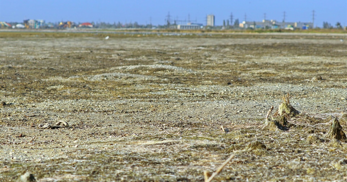 Море отступает: в Бердянском заливе вода отошла от берега