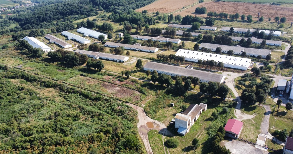 Ґудвеллі Україна розпочинає свою діяльність у Рогатинській громаді