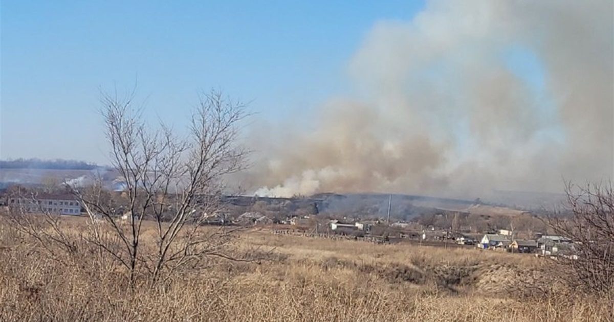 Сезон спалювання трави та листя: лозівські рятувальники звітують про пожежі на відкритих територіях