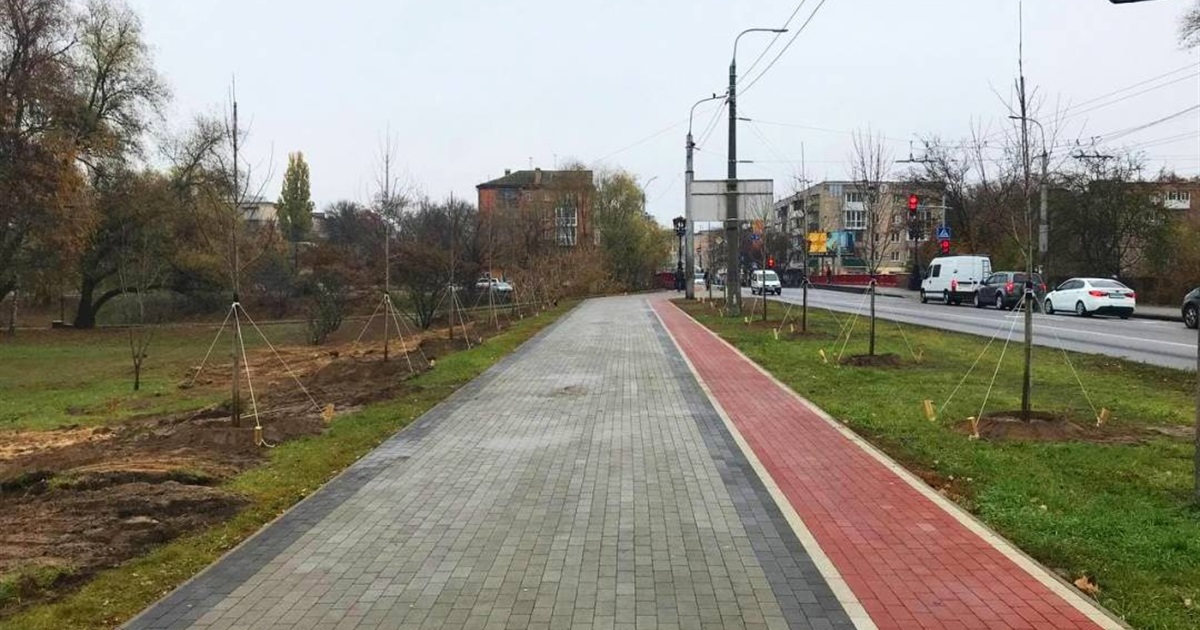 Біля РАЦСу у Чернігові висадили кілька десятків магнолій. Їх придбав за власні кошти Атрошенко