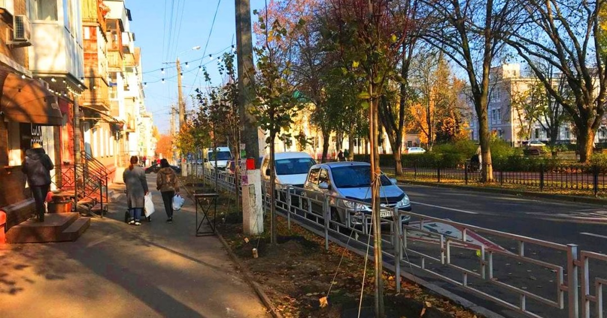 "Зеленбуд" очікує цього тижня 160 саджанців дерев, які висадять у місті