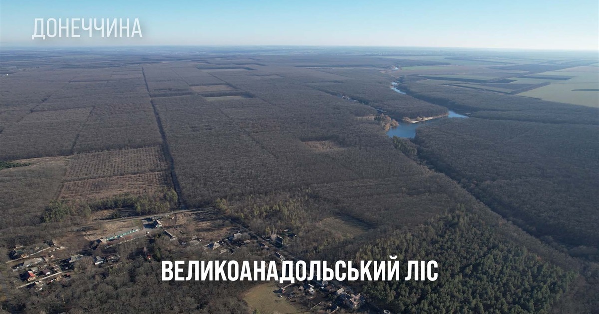 Ольгинська громада: про проблеми найбільшого рукотворного лісу Європи, Великоанадольського заказника