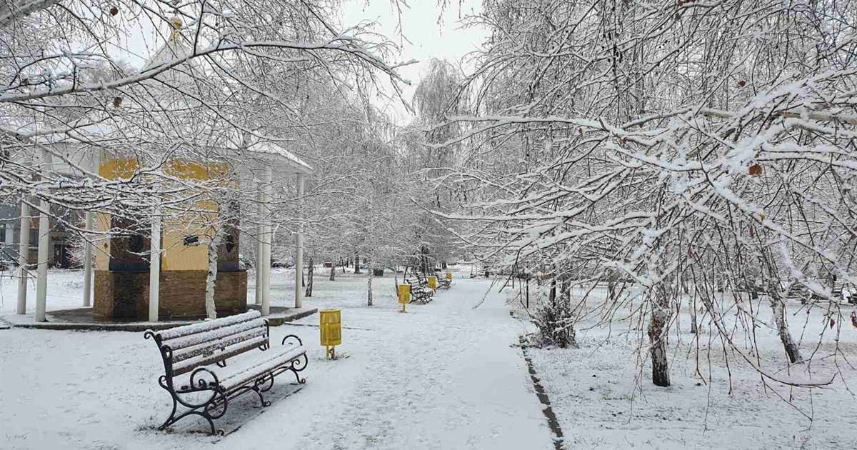 Хто став переможницями фотоконкурсу жінок-лідерок Троїцької громади в 2021 році