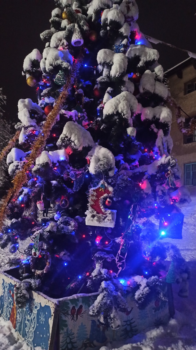 Ялинка біля будинку культури Петровської Гори