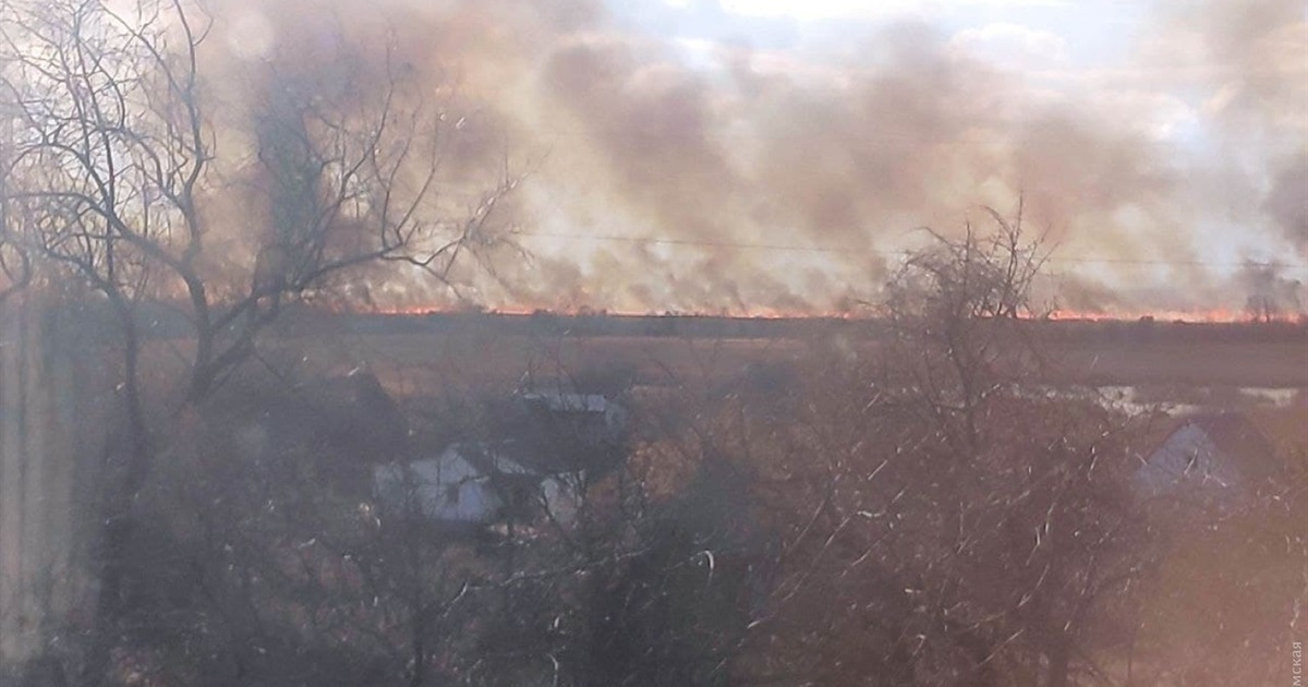На Одещині горить територія національного парку: фото, відео
