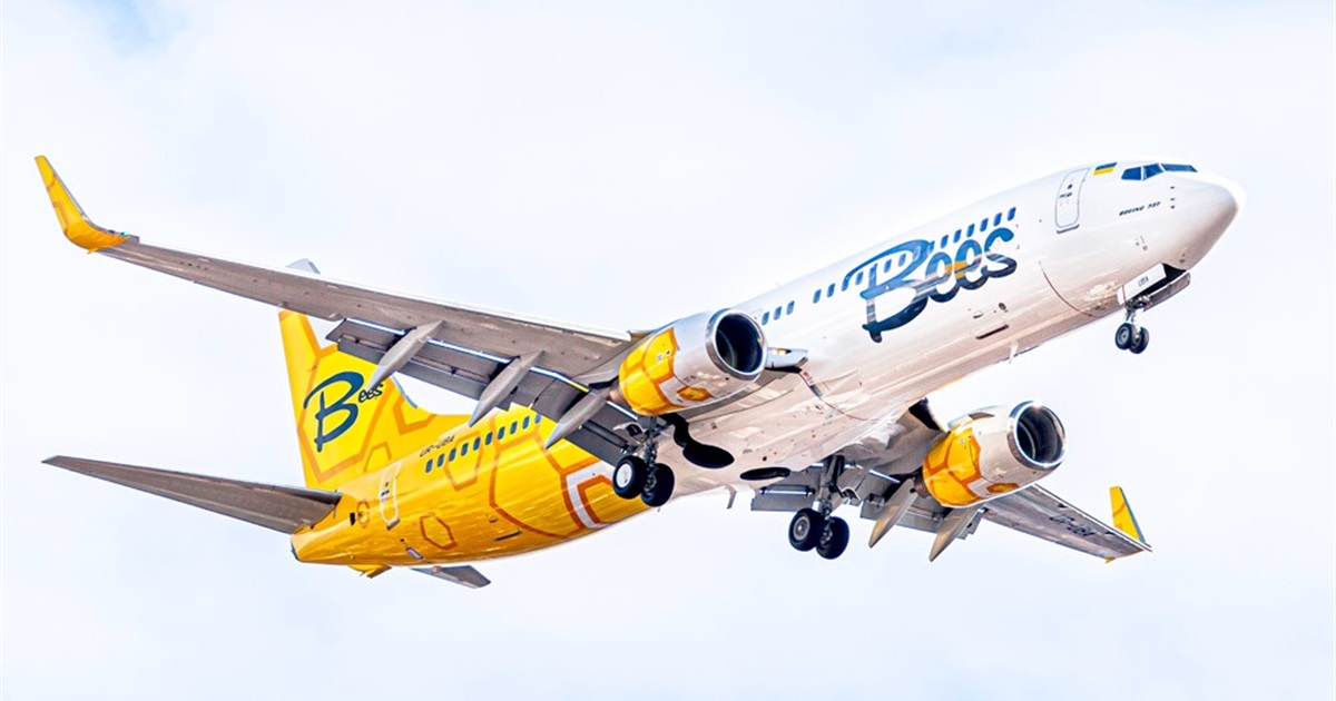 По 50 доларів: розпродаж у Bees Airline