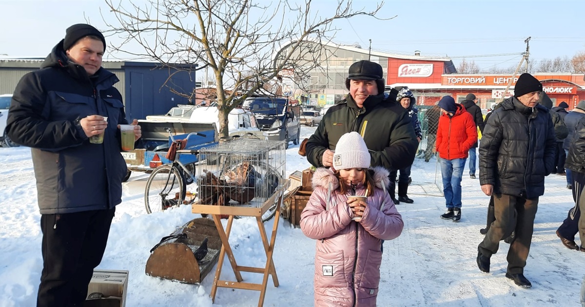 Кролики, кури, гуси, голуби: у Старокостянтинові відбувся ярмарок птахівництва і тваринництва