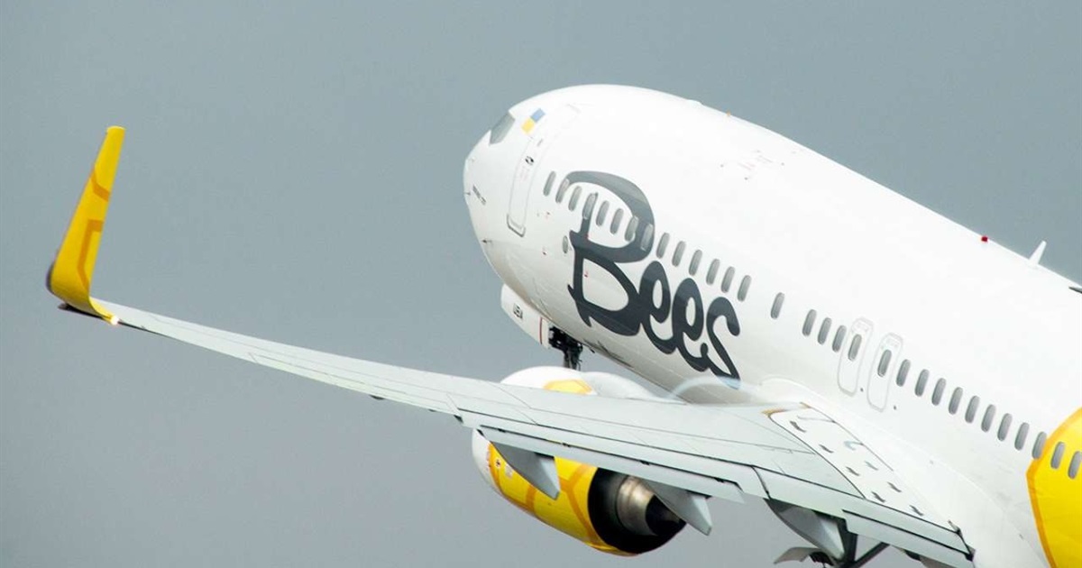 Освідчення на борту і 25% знижки: акція від Bees Airline
