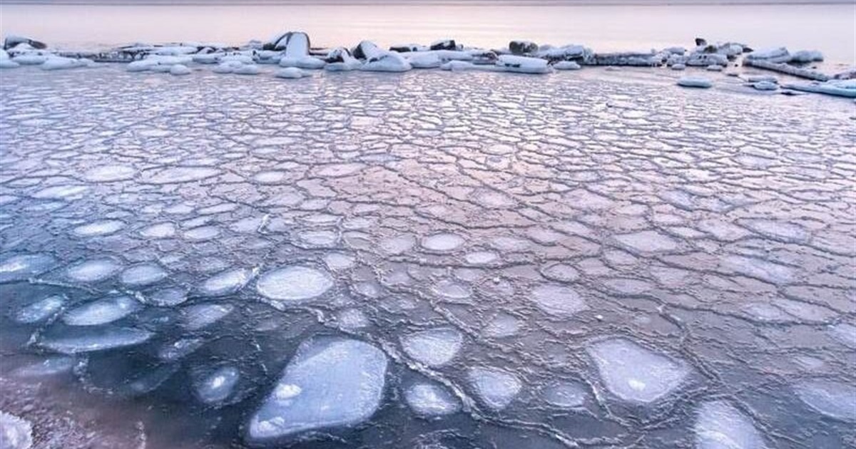 "Замерзлі медузи" в Бердянську: фото