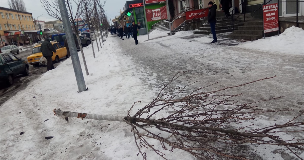 Новини громади за 7-13 лютого: про прийом, благодійність, зламану сакуру та боротьбу з мокрим снігом