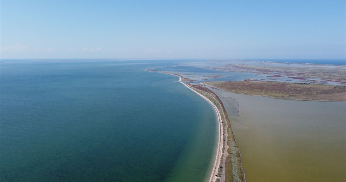 Завдяки порадам друзів та соцмережам. Звідки іноземці дізнаються про Україну?