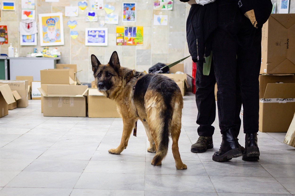 гуманітарний штаб