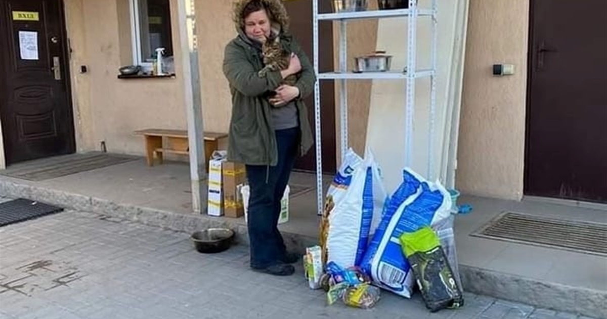 Через військові дії у ветеринарно-стерилізаційному центрі “Крок до тварин” загинули 27 тварин