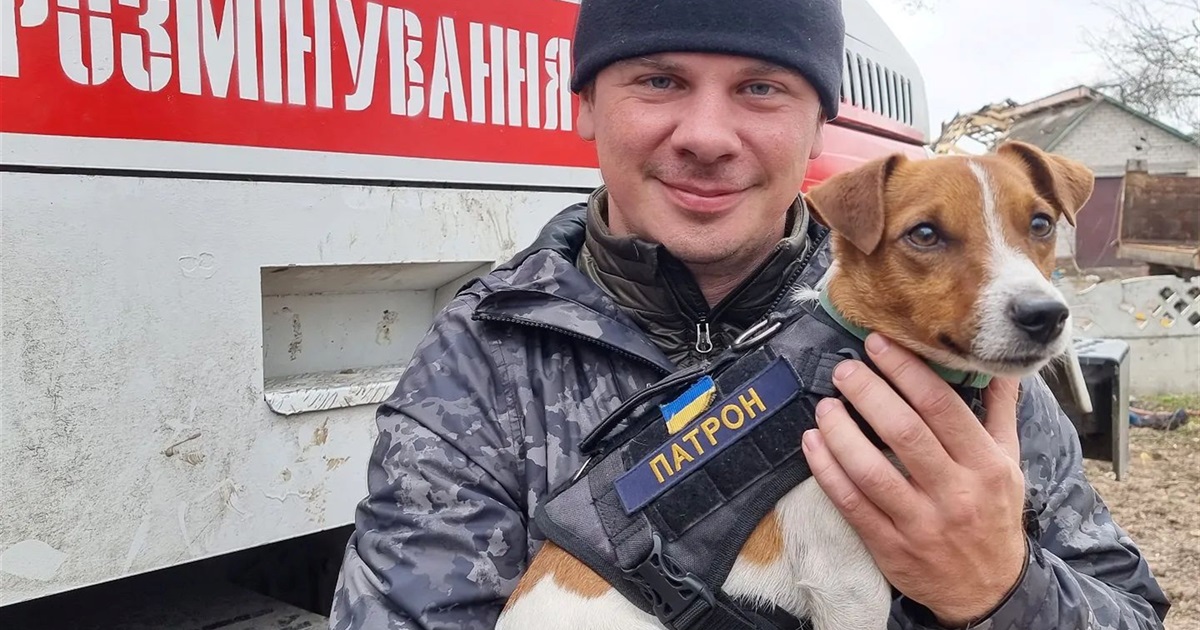Дмитрий Комаров снял видео из Северодонецка. Вот каким он увидел город под обстрелами