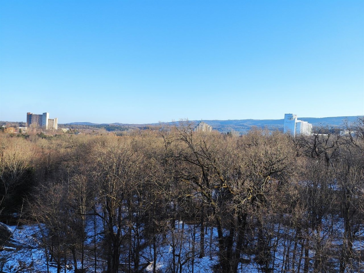 трускавець