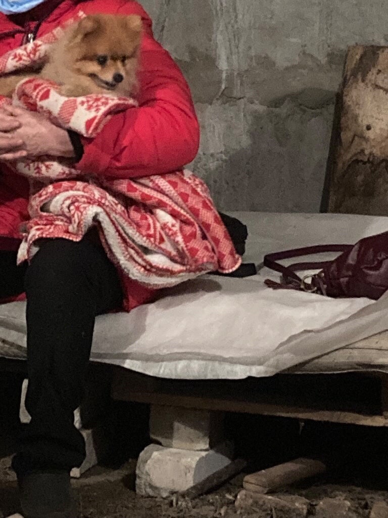 бомбосховище, у якому ховалась Ліза з родиною. 