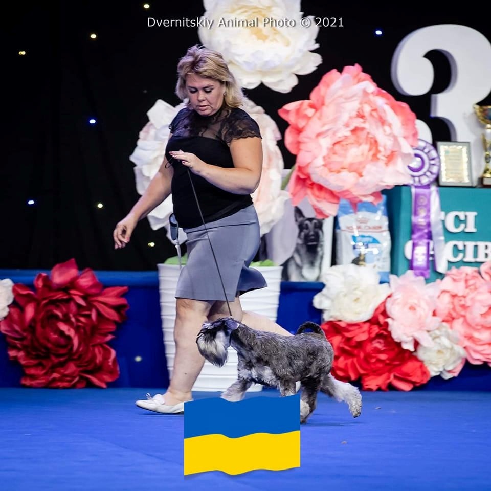 Ірина і її чемпіон. Чи чемпіон і його Ірина