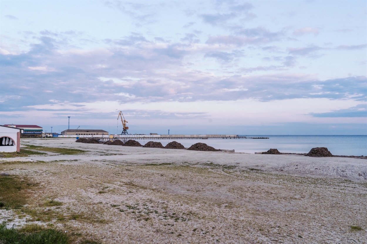 Комунальники очистили море від камки