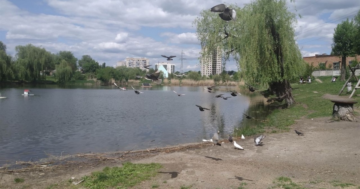 Первомайців запрошують долучитись до толоки на фрегатівському ставку