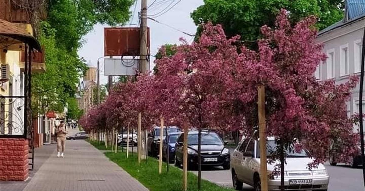 Чернігівців запрошують до обговорення щодо переіменування вулиць міста