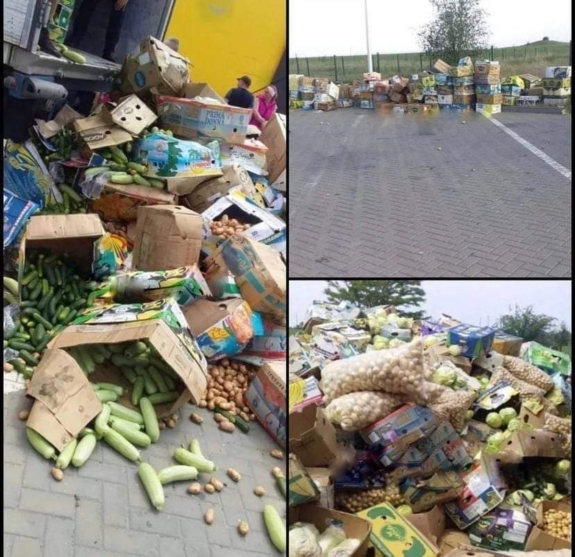 Тонни овочів, які фермери були вимушені викинути біля блокпосту під Василівкою