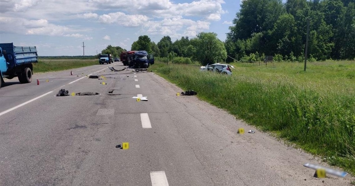 Смертельне ДТП на Чернігівщині: двоє людей загинули, троє тяжко травмовані