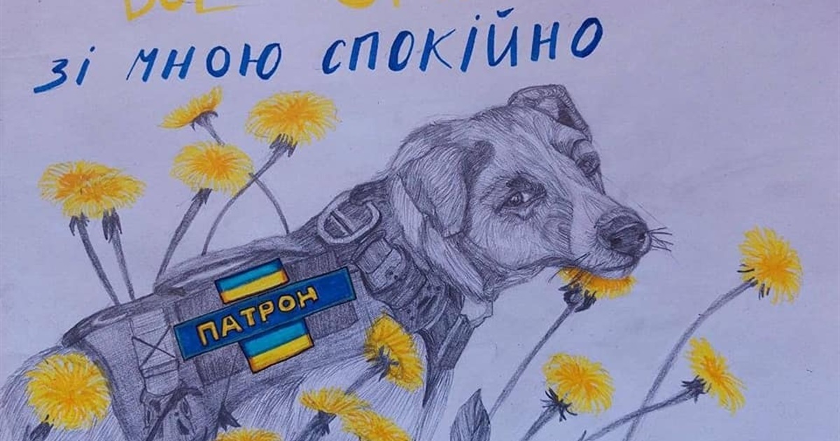 Робота песика Патрона: розмінування, результати конкурсу малюнків і зустріч з чернігівськими дітьми