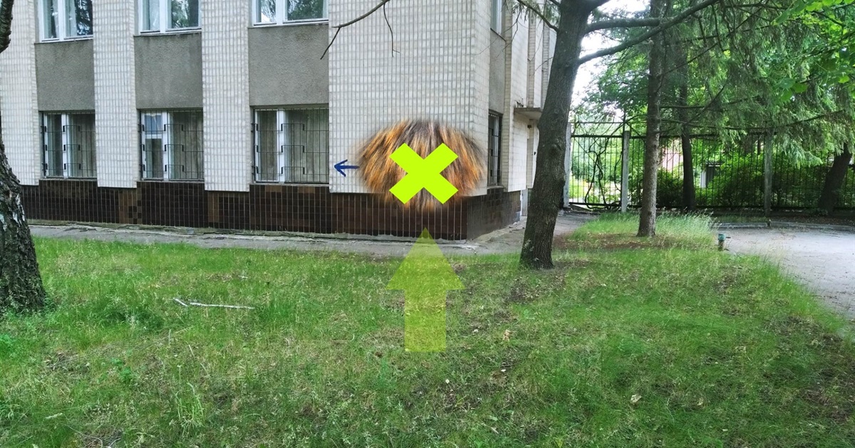 Пройди тест на справжнього жовтоводця: ми сховали написи, які ти бачив мільйон разів у місті