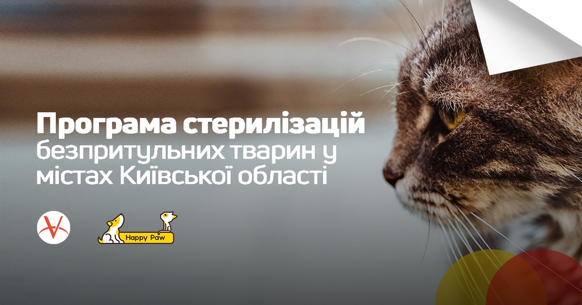 Фонд Happy Paw запустив програму стерилізації безпритульних тварин у містах Київської області