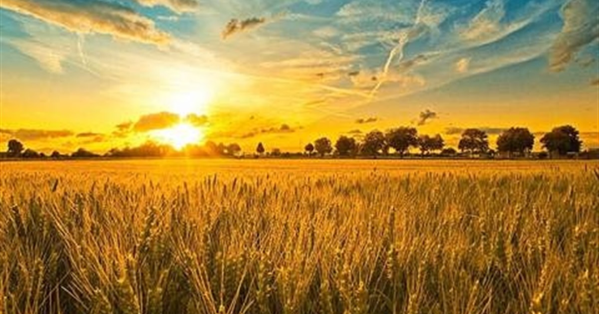 Щоденник війни. Тиждень тринадцятий. Україна буде вільною, бо це є вибір українського народу