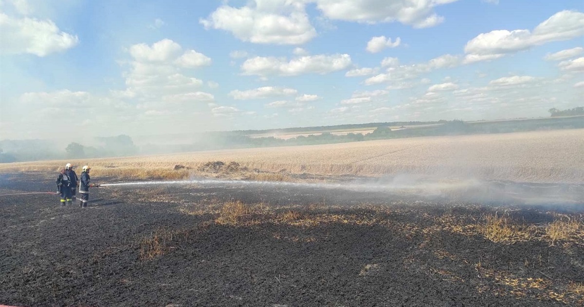 У Калинівській громаді сталася пожежа на хлібному полі