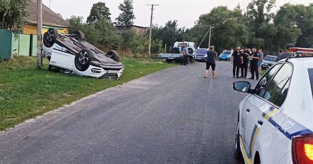 П'яна компанія сміялась, поки худоба страждала: в селі на Чернігівщині водій влетів в стадо корів