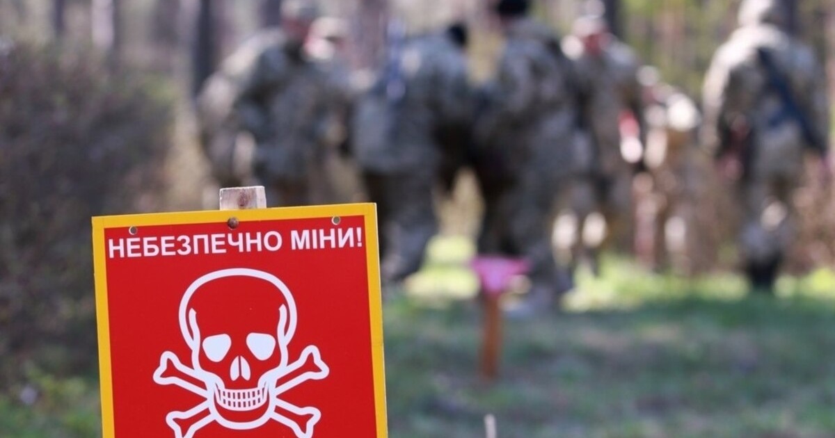 Люди йдуть в ліс по гриби і ягоди, хоча розміновано лише 10% території поряд Житомирської траси