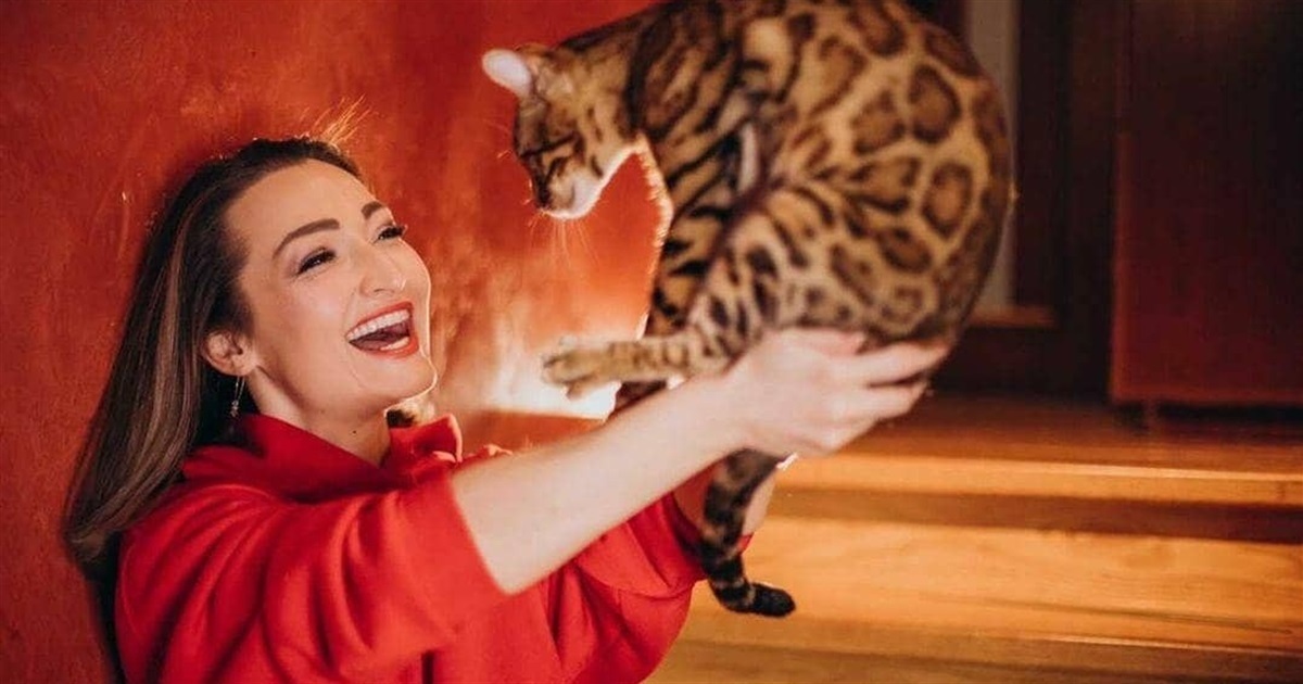 Only one cat survived. Russian occupants destroyed a cattery of Bengal cats in Mariupol
