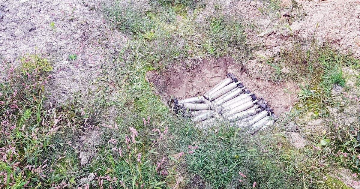 Не Патрон, але теж герой. Як шукає вибухівку пухнастий піротехнік Джек