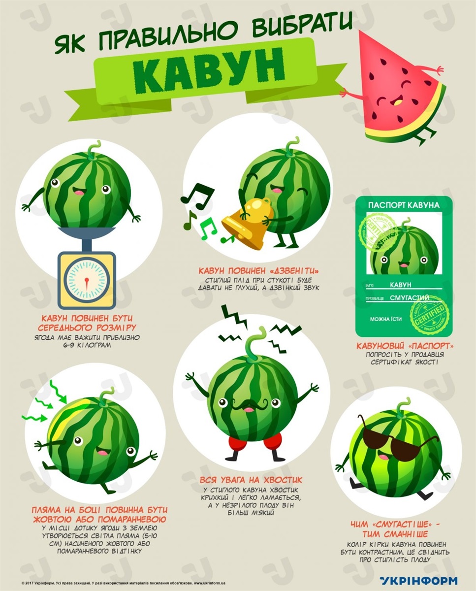 як вибрати кавун 