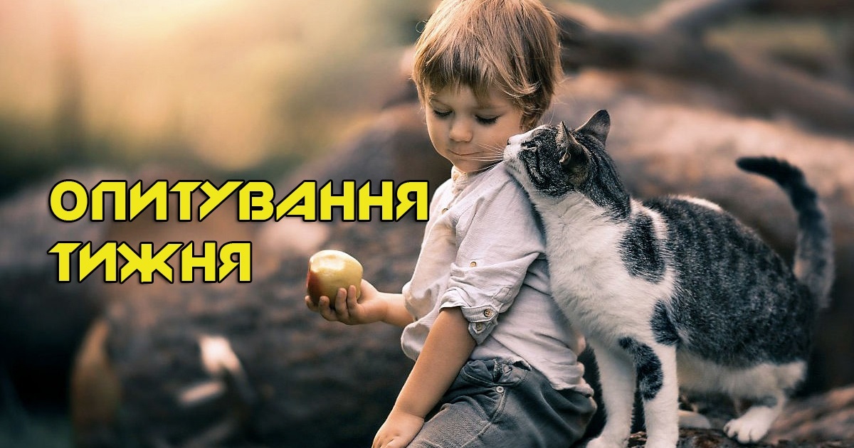 Опитування тижня: які звички у ваших домашніх тварин? Розповідають жителі Переяславщини